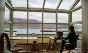 A woman sits at a desk in front of greenhouse window, overlooking a natural landscape